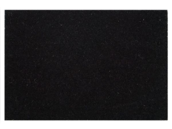 Türvorleger Kokosmatte Schmutzfangmatte Fußmatte Fußabtreter einfarbig für Haustür 3 Farben 40 x 60 cm schwarz